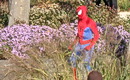 Hele, Spiderman. A nikdo si ho nev��m�.